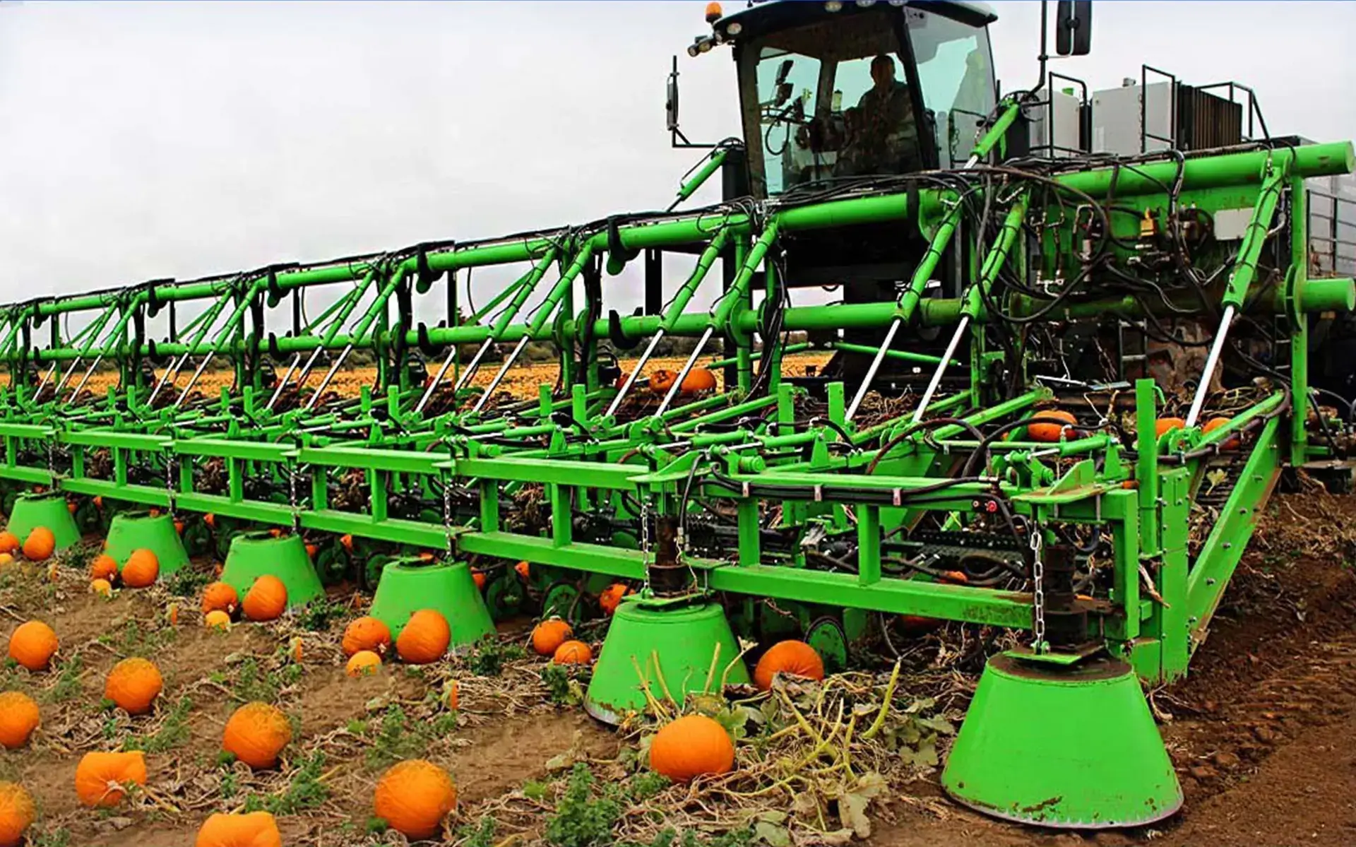 agriculture solutions